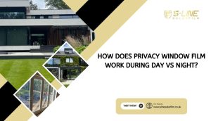 How Does Privacy Window Film Work During the Day vs. the Night?